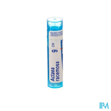 Afbeelding in Gallery-weergave laden, Actaea Racemosa 9ch Gr 4g Boiron
