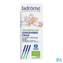 Afbeelding in Gallery-weergave laden, Ladrome Zingiber Officinalis/gember 10ml
