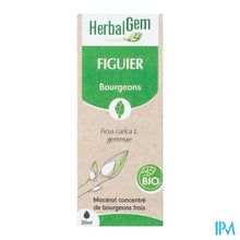 Afbeelding in Gallery-weergave laden, Herbalgem Vijgenboom Bio 30ml
