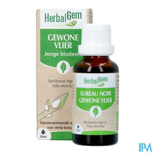 Load image into Gallery viewer, Herbalgem Vlier Bio 30ml
