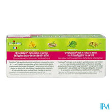Charger l'image dans la galerie, Homeodent 1st Teeth Care Strawb.&amp;raspb. Tandp.50ml
