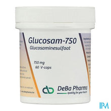 Afbeelding in Gallery-weergave laden, Glucosam Caps 60x750mg Deba
