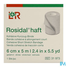 Afbeelding in Gallery-weergave laden, Rosidal Haft Cohesieve Windel 6cmx5m 1 31973
