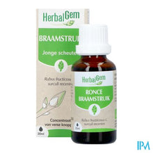 Load image into Gallery viewer, Herbalgem Braamstruik Bio 30ml
