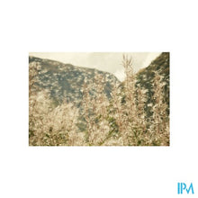 Charger l'image dans la galerie, Quercetine Plus V-caps 60 Pharmanutrics
