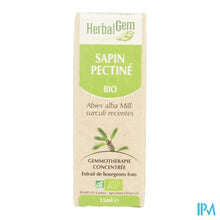 Charger l'image dans la galerie, Herbalgem Zilverspar Maceraat 15ml
