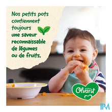 Charger l'image dans la galerie, Olvarit Fruit Appel Perzik Koek 2x200g 8m54
