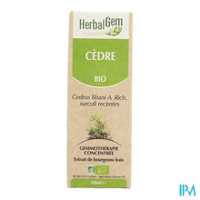 Charger l'image dans la galerie, Herbalgem Libanonceder Maceraat 50ml
