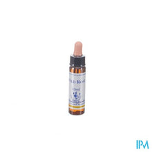 Afbeelding in Gallery-weergave laden, Healing Herbs Wild Rose 10ml
