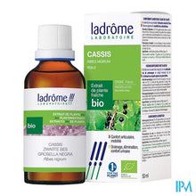 Charger l'image dans la galerie, Ladrome Ribes Nigrum/zwarte Bes 50ml
