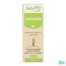 Charger l'image dans la galerie, Herbalgem Wollige Sneeuwbal Maceraat 50ml
