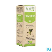 Charger l'image dans la galerie, Herbalgem Hondsroos Maceraat 50ml
