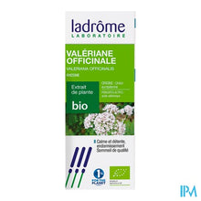 Afbeelding in Gallery-weergave laden, Ladrome Valeriana Officinalis/echte Valeriaan100ml
