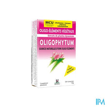 Afbeelding in Gallery-weergave laden, Oligophytum Mn-cu Tube Micro-comp 3x100 Holistica
