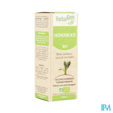 Charger l'image dans la galerie, Herbalgem Hondsroos Maceraat 15ml
