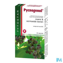 Charger l'image dans la galerie, Fytostar Pycnogenol Caps 30 7587

