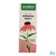 Charger l'image dans la galerie, Purasana Vegan Echinacea Forte+ 50ml
