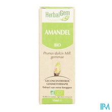 Charger l'image dans la galerie, Herbalgem Amandel Maceraat 15ml
