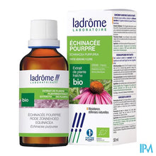 Charger l'image dans la galerie, Ladrome Echinacea Purpurea/rode Zonnehoed 50ml
