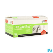 Afbeelding in Gallery-weergave laden, Vitafytea Pro Cartilago Glucosamine Tabl120x1500mg
