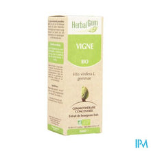Charger l'image dans la galerie, Herbalgem Wijnstok Maceraat 50ml
