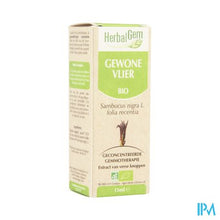 Charger l'image dans la galerie, Herbalgem Vlierbes Maceraat 15ml
