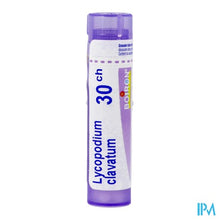 Afbeelding in Gallery-weergave laden, Lycopodium Clavatum 30k Gr 4g Boiron
