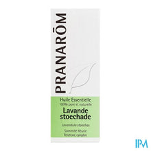 Charger l'image dans la galerie, Pranarom Eo Lavendel Stoechas 10ml
