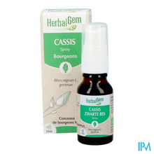 Afbeelding in Gallery-weergave laden, Herbalgem Zwarte Bes Bio Spray 15ml

