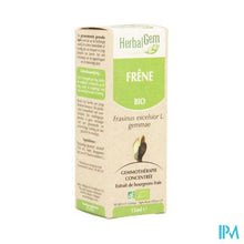 Afbeelding in Gallery-weergave laden, Herbalgem Es Maceraat 15ml
