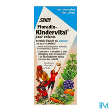 Charger l'image dans la galerie, Salus Floradix Kindervital Elexir 250ml
