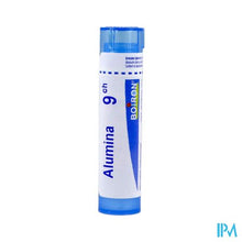 Load image into Gallery viewer, Alumina 9ch Gr 4g Boiron
