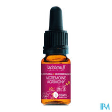 Charger l'image dans la galerie, Ladrome Agrimonie/agrimony 10ml
