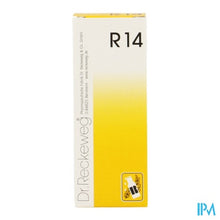 Afbeelding in Gallery-weergave laden, Reckeweg Dr. R14 Gutt 50ml
