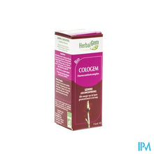 Load image into Gallery viewer, Herbalgem Cologem Complex 15ml
