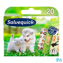 Charger l'image dans la galerie, Salvequick Animal Planet Pleisters 20
