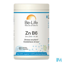 Afbeelding in Gallery-weergave laden, Zn-b6 Minerals Be Life Nf Gel 60
