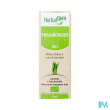 Charger l'image dans la galerie, Herbalgem Frambozen Maceraat 15ml
