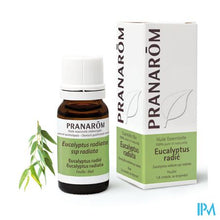 Afbeelding in Gallery-weergave laden, Pranarom Eo Eucalyptus Radiata 10ml
