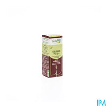 Charger l'image dans la galerie, Herbalgem Struikhei Unitair Moedermaceraat 15ml
