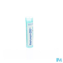 Load image into Gallery viewer, Staphysagria 200k Gr 4g Boiron
