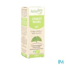 Charger l'image dans la galerie, Herbalgem Ginkgo Biloba Maceraat 15ml
