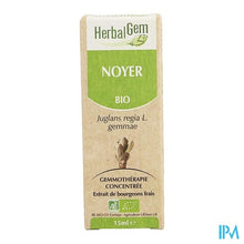 Charger l'image dans la galerie, Herbalgem Walnoot Maceraat 15ml
