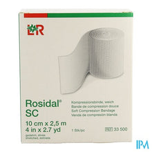 Afbeelding in Gallery-weergave laden, Rosidal Sc 10cmx2,0m 10 33500

