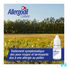 Load image into Gallery viewer, Allergodil Collyre Fl 6ml
