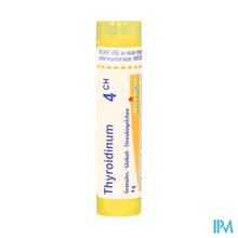 Afbeelding in Gallery-weergave laden, Thyroidinum 04ch Gr 4g Boiron
