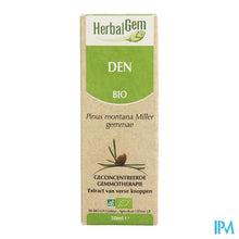 Charger l'image dans la galerie, Herbalgem Bergden Maceraat 50ml
