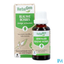 Load image into Gallery viewer, Herbalgem Blauw Bosbes Bio 30ml
