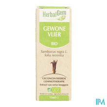 Charger l'image dans la galerie, Herbalgem Vlierbes Maceraat 15ml
