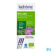 Afbeelding in Gallery-weergave laden, Ladrome Epilobium Parviflorum/kleinbl Wilgenr.50ml
